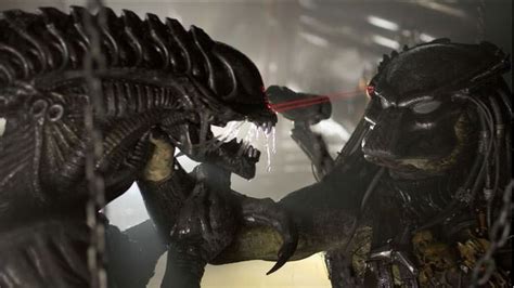 Download Wolf (Predator) Predator Alien Movie Aliens Vs. Predator ...