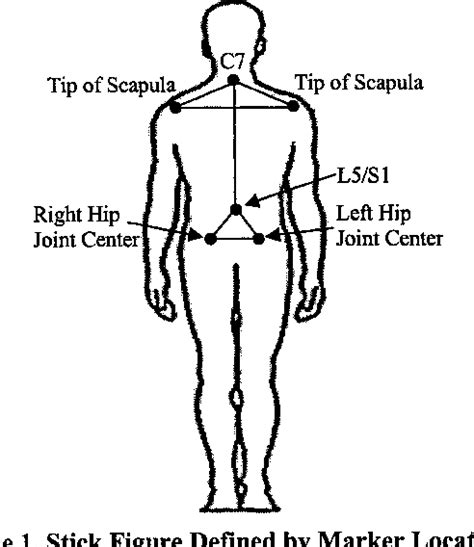 Figure 1 from Biomechanical Analysis of Postural Sway in Elderly Adults ...