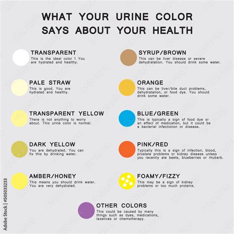 Urine Color Says About Your Health - Natural Health Product Reviews