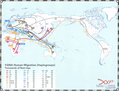 Haplogroup Migration Map