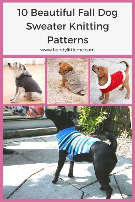 20 Beautiful Fall Dog Sweater Knitting Patterns | Dog sweater pattern, Dog sweater, Dog jumper ...