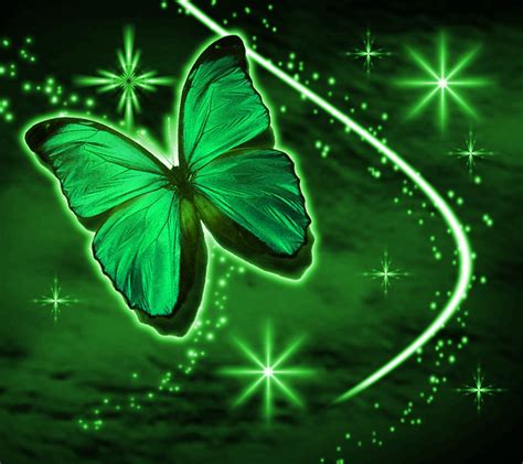 🔥 [48+] Gallery Wallpapers Green Butterfly | WallpaperSafari