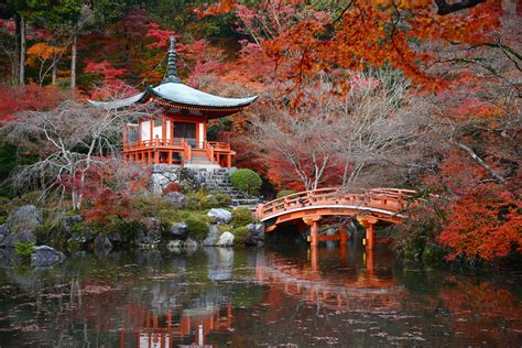 The 25 Most Inspiring Japanese Zen Gardens - Best Choice Schools