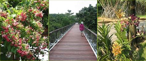 Putrajaya Botanical Gardens - Taman Botani