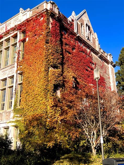 UW is a beautiful campus : r/udub