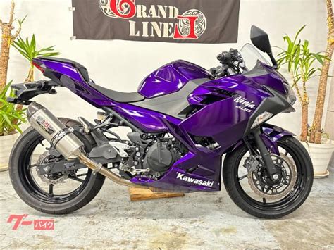 Fairing Kit For A Kawasaki Ninja 400 (2018-2023) White, Purple Pink | lupon.gov.ph