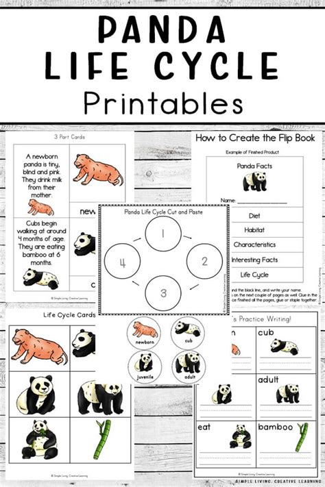 Panda Life Cycle Printables - Simple Living. Creative Learning