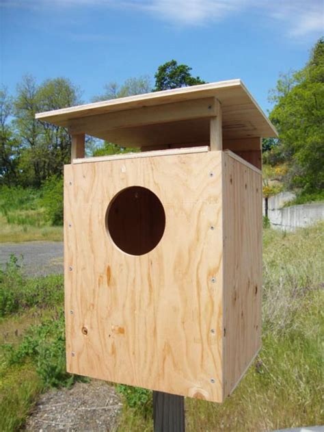 Pellet Lab - Nesting Boxes | Barn Owl, Bat and Tree Swallow | Nesting ...