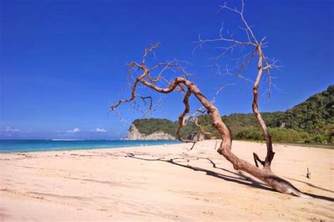 10 Best Beaches in Sumba Island | Authentic Indonesia Blog