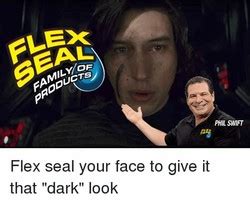 Flex seal Memes