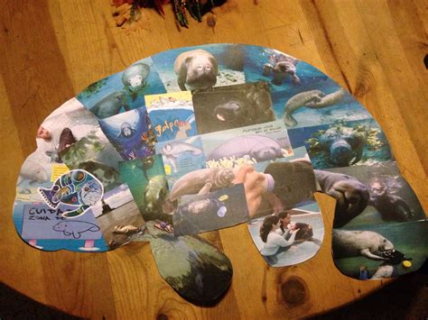 Manatee collage created by my son, Alejandro, for this week's Caribbean ...