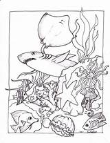 Free Printable Ocean Coloring Pages For Kids sketch template