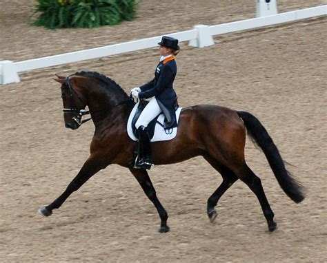 File:Dutch Warmblood Horse and Dressage Rider 001.jpg - The Work of God ...