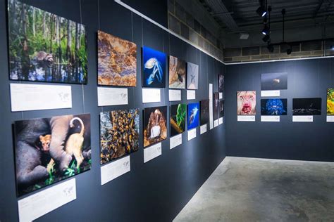 Natural History Museum Wildlife Photographer of the Year exhibition ...