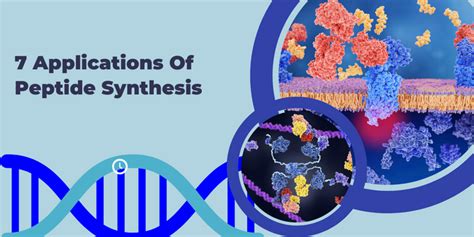 7 Applications Of Peptide Synthesis - Biomatik