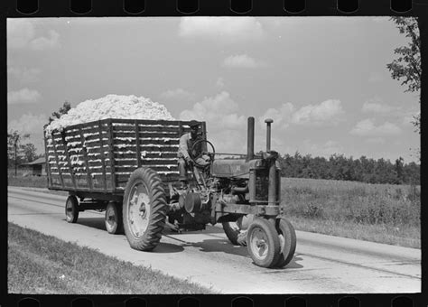 "Latest method of hauling cotton to gin, Lehi, Arkansas." 1938 Sept. we've come a long way ...