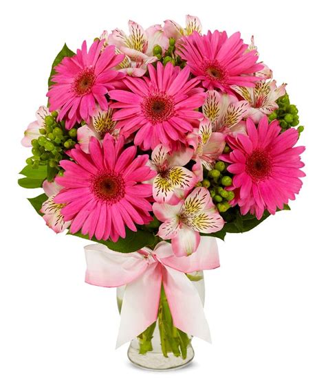 Playful Pink Gerbera Daisy Bouquet - FlowersForYou.com