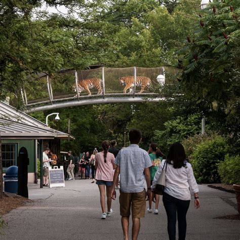 Discover America's First Zoo – Philadelphia Zoo