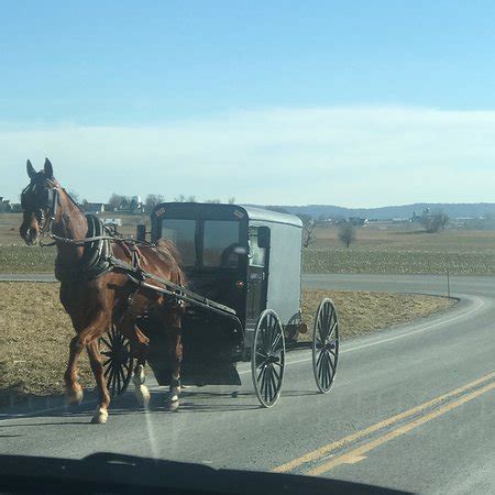 Old Order Amish Tours (Ronks) - 2020 All You Need to Know BEFORE You Go (with Photos) - Tripadvisor