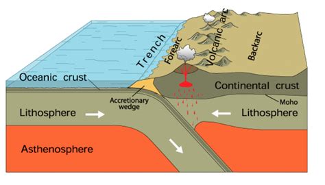 Geodynamics | Modelling the Thermal Evolution of Subduction Zones