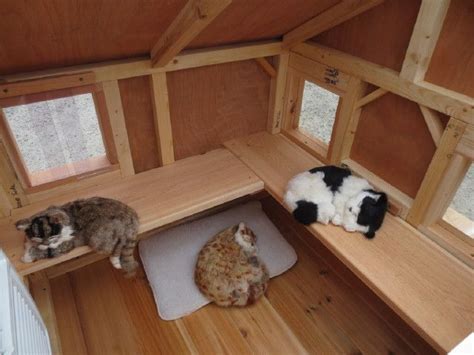 Heated Pet Houses Multiple Cats | Luxury Lounging Hideout For One or Multiple Cats | Outdoor cat ...