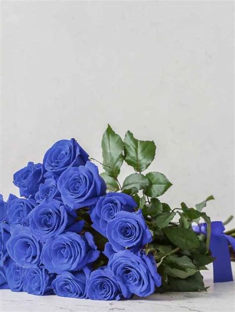 Exploring the Spiritual Significance and Symbolism of Blue Roses