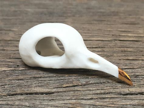 Porcelain Pigeon Skull – the Otherist