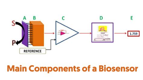 What is a Biosensor? | Types of Biosensor