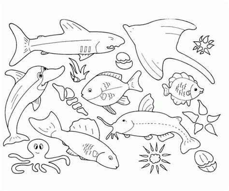 Sea Animals Coloring Pages PDF - Coloringfolder.com | Fish coloring page, Ocean coloring pages ...