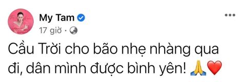 Trấn Thành, NSƯT Kim Tử Long một lòng hướng về miền Trung giữa lúc diễn ra bão số 4 - Sao việt ...