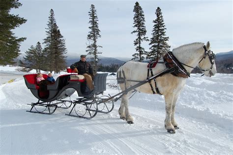 Outdoor Mom: A Classic Winter's Sleigh Ride