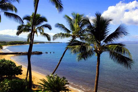 Kihei Beach Resort 509 - Maui Condo Homes