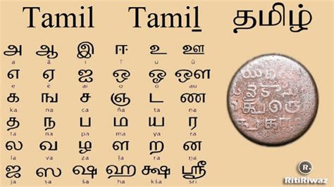 Indian Tamil Language