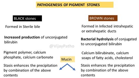 GALL STONES/CHOLELITHIASIS: pathogenesis - Pathology Made Simple