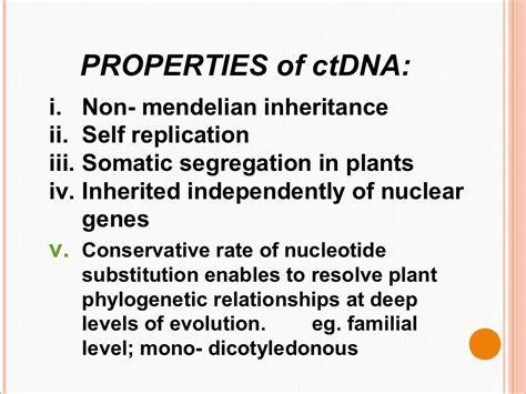 chloroplast DNA