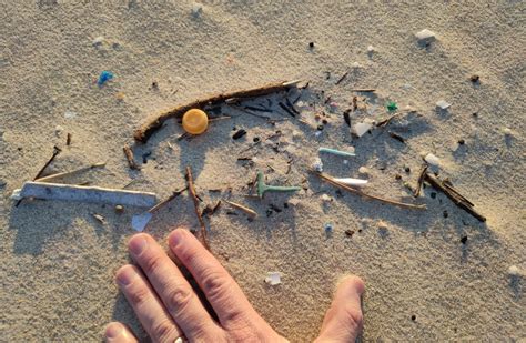 Marine Litter Monitoring and Beach Cleanup @ Albarquel Beach - World Ocean Day