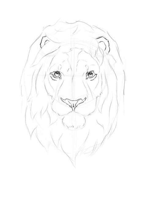 How To Draw Aslan The Lion - Internaljapan9