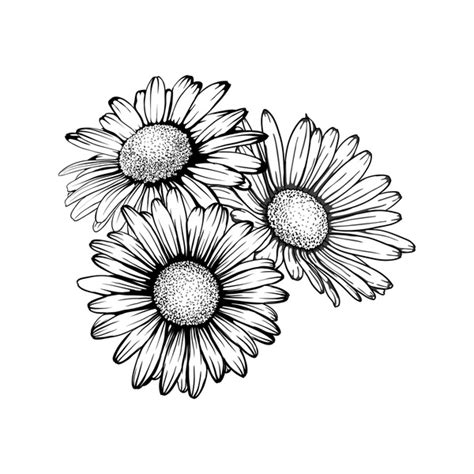 Daisy Tattoo Design Royalty-Free Images, Stock Photos & Pictures ...