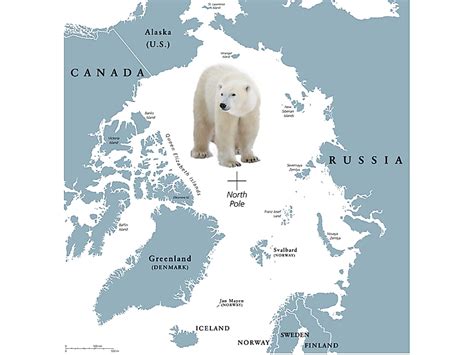 Where Do Polar Bears Live? - WorldAtlas