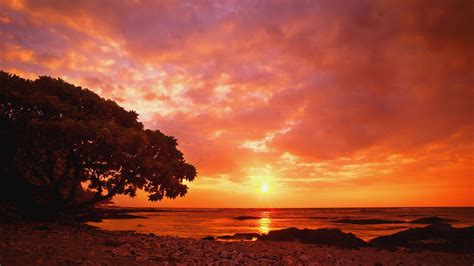 62+ Sunset backgrounds ·① Download free beautiful full HD wallpapers for desktop and mobile ...