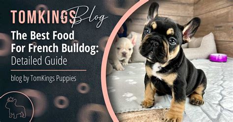 The Best Food For French Bulldog - TomKings Kennel