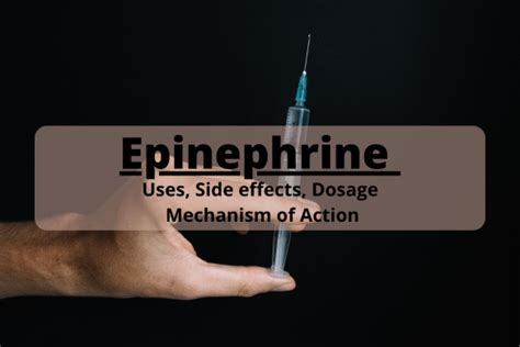 Epinephrine (Adrenalin): Uses, Side Effects, Dosage, and Mechanism of ...