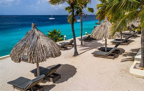 Buddy Dive Bonaire | Best Dive Resort in the Caribbean