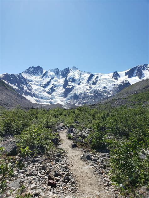 Hiked the Laughton Glacier in Skagway Alaska #outdoors #nature #sky #weather #hiking #camping # ...