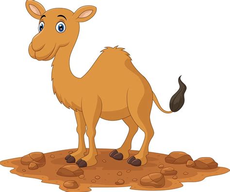 Cartoon camel isolated on white background 5161899 Vector Art at Vecteezy