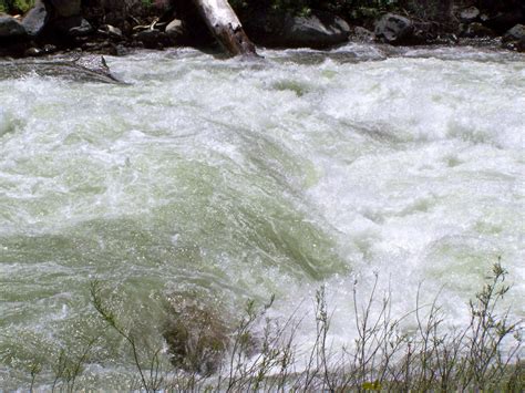 Gambar : pemandangan, alam, sungai kecil, lingkungan Hidup, aliran, permai, taman, cepat, badan ...