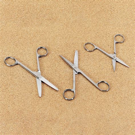 Surgical Scissors, Stainless Steel | Carolina.com