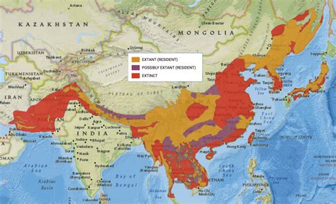 File:Asian black bear distribution.jpg - Wikimedia Commons