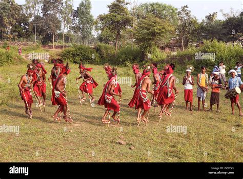 Gendi dance, bastar, chhattisgarh, india, asia Stock Photo - Alamy