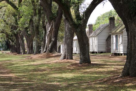 Visit to McLeod Plantation Historic Site (James Island, Ch… | Flickr